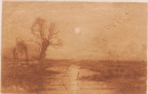 Swamp with four willows, print, annotation: '2nd State', printmaker: Jules Guiette, 1862 - 1901,