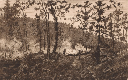 Forest with woodcutters and wood burners, print, workshop stamp: 'Antwerpsche Etsers 1880',