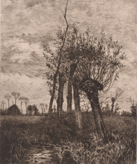 Winter landscape with willows, November, print, printmaker: Jules Guiette, 1862 - 1901, paper,