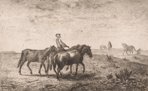 Man leading three horses through a meadow, print, printmaker: Lambert Jacquelart, 1830 - 1910,