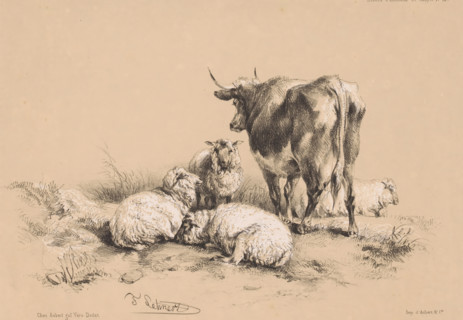 Studies of four sheep and a cow, Animal studies by Cooper, Études d'Animaux de Cooper, print,