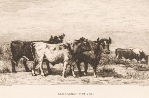 Landscape with cattle (original title on object), print, printmaker: Philip Zilcken, after painting