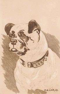 Dog with collar, print, inscription: 'El n'existe qui une épreuve de cit état, Mons 1897',