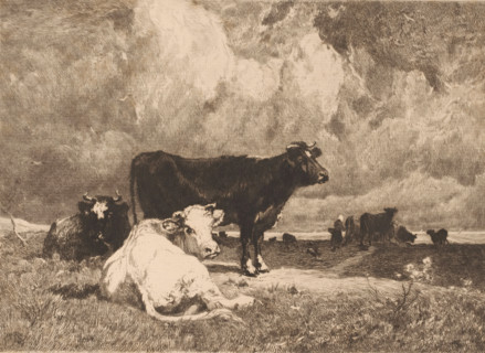 La Falaise., Cows in a landscape under a cloudy sky, print, printmaker: Théophile Chauvel, France,