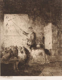 The music theory lesson, Monkey giving music lessons to a class of dogs, La leçon de solfège,
