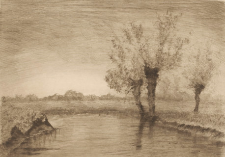 Landscape with three willows along a brook, print, printmaker: Henri Rul, 1872 - 1913, paper,