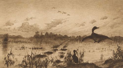 Landscape with wild ducks at evening, print, mark: 'Antwerpsche Etsers 1880', printmaker: Henri