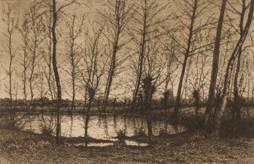 Landscape with pond surrounded by trees, print, Remarque with bird lower left in the margin., mark: