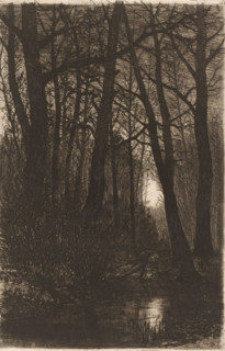 Forest with ditch by moonlight, print, mark: 'To Milly', printmaker: Henri Rul, dedicated to: