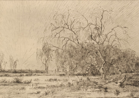 Swamp at sunrise, print, printmaker: Théodore Tscharner, 1836 - 1906, paper, etching, drypoint,