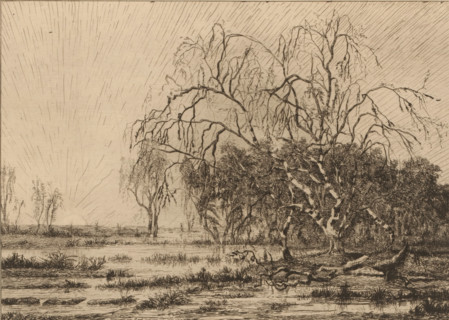 Swamp at sunrise, print, printmaker: Théodore Tscharner, 1836 - 1906, paper, etching, drypoint,