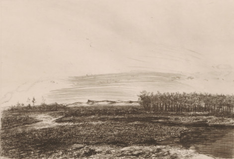 Landscape in the Kempen, print, printmaker: Jerôme Tuyttens (signed by artist), c. 1850 - 1883,