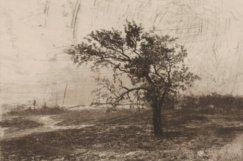 Landscape in the Kempen, print, printmaker: Jerôme Tuyttens (signed by artist), c. 1850 - 1883,