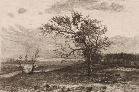 Landscape in the Kempen, print, printmaker: Jerôme Tuyttens (signed by artist), c. 1850 - 1883,