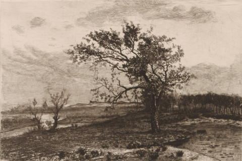 Landscape in the Kempen, print, printmaker: Jerôme Tuyttens, c. 1850 - 1883, paper, etching,