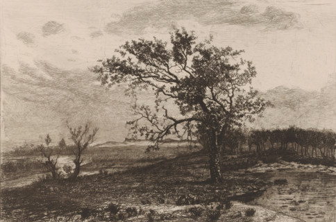 Landscape in the Kempen, print, annotation: 'Le s... dans la bruyere, tuytens', printmaker: Jerôme