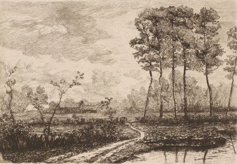 Landscape with row of birches, print, printmaker: Jerôme Tuyttens (signed by artist), c. 1850 -