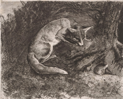 Fox hunting a rabbit, print, printmaker: Charles Verlat, 1834 - 1890, paper, etching, drypoint,
