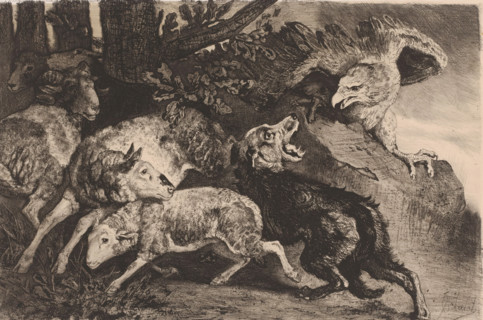 Sheep attacked by an eagle, print, printmaker: Charles Verlat, 1834 - 1890, paper, chine collé,