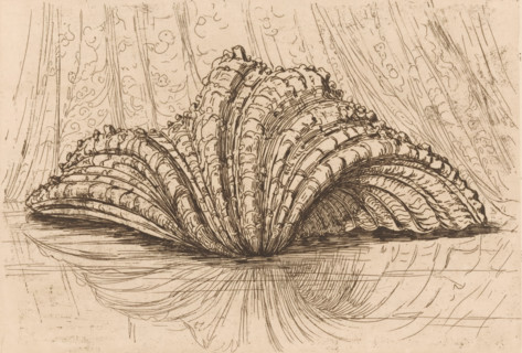 Shell, print, printmaker: Maurits van der Valk (signed by artist), 1867 - 1914, paper, etching,