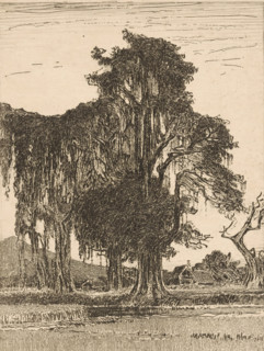 Landscape in the Preanger (original title), Tree by a cemetery in the Preanger on Java, print, In