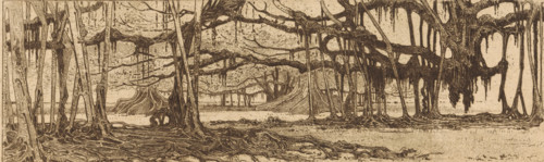 In the garden at Buitenzorg (original title), Waringin trees in a garden in Buitenzorg, print,