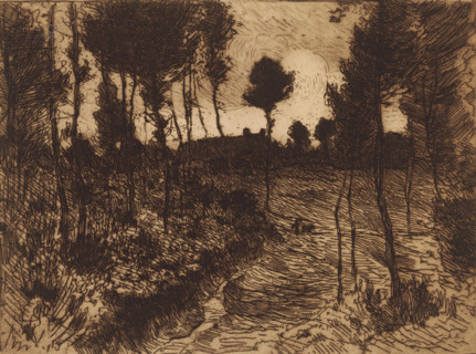 Forest path at evening, print, printmaker: Anton L. Koster, 1869 - 1924, paper, etching, intaglio