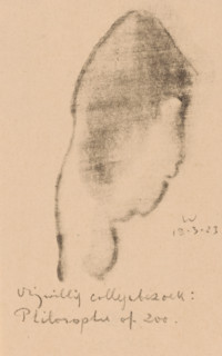 Abstracted head, Idealists II and further Marginal Notes (original series title), print, At the