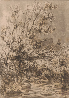Willows by the water, behind them De Cannenburgh Castle, Willows and castle (original title),
