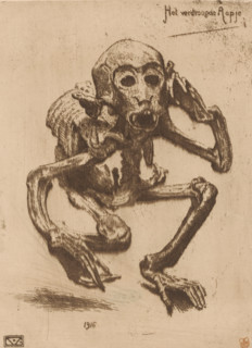 The dried-up monkey (original title on object), print, Skeleton of a monkey., printmaker: Gerard