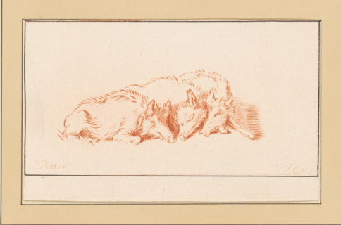 Three lying pigs, print, The print is loose in an album, see pages 126-128., inscription: 'J