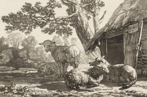 Sheepfold, print, Four sheep by the open sheepfold. The print is loose in an album, see page 44.,