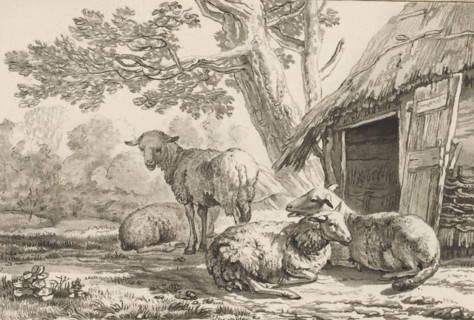 Sheepfold, print, Four sheep by the open sheepfold. The print is loose in an album, see page 44.,
