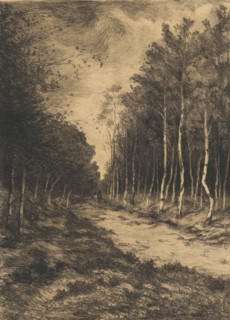 Forest path with two riders, Berkenlaan, print, inscription: '1.-', printmaker: Gerarda Wilhelmina