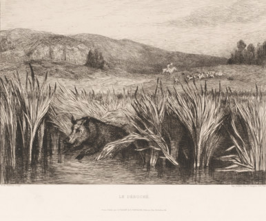 Hunt for a wild boar, Le débuché, print, Numbered 50 in the upper right., printmaker: Albert de