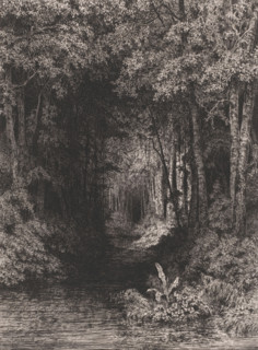 Stream through the forest, print, printmaker: César de Cock, 1833 - 1879, paper, chine collé,