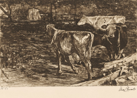 Four cows in a meadow, Melkbocht (original title), print, printmaker: Willem de Zwart (signed by