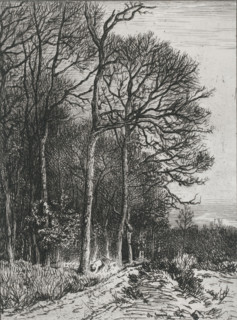 Landscape at the edge of a forest, Lisière du bois, print, printmaker: Charles Emile Jacque,