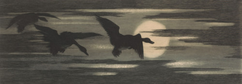 Three ducks migrating past the setting sun, print, inscription: 'Société des a. Belges 1895,