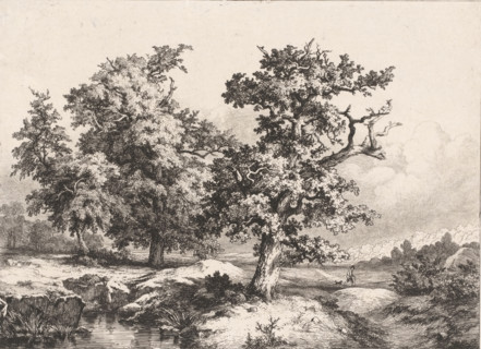 Les Chênes dans la plain, Landscape with oaks, walker and dog, Études gravées d'après nature,