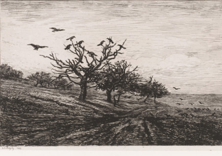 Landscape with trees and crows, L'arbre aux corbeaux, print, printmaker: Charles-François Daubigny,