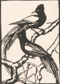Two birds on a branch, Two exotic birds, print, Possibly two crested cuckoos., inscription: 'No