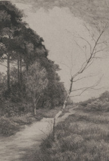 Road between trees, print, printmaker: Jan Veth, 1886, paper, etching, intaglio printmaking
