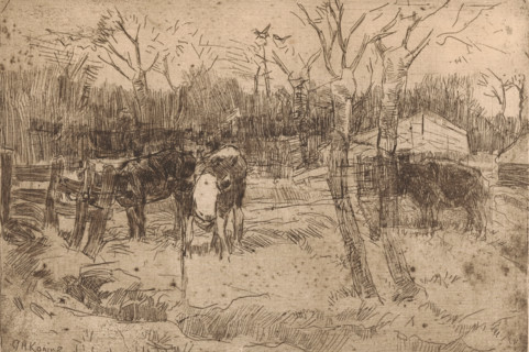 Meadow with trees and cows, print, printmaker: Arnold Koning, 1870 - 1945, paper, etching, intaglio