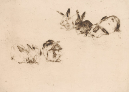 Six rabbits, print, printmaker: Norbert Goeneutte (signed by artist), 1889, paper, drypoint,