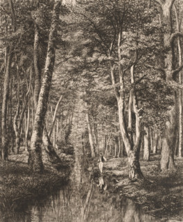 Fisherman in a forest, Rivière sous bois, French etchings from 1879, L'eau-forte en 1879, print,