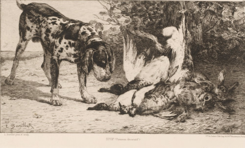 Stop, Hunting dog with prey, French etchings from 1880, L'eau-forte en 1880, print, Series number,