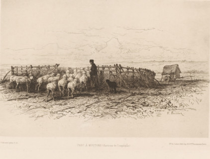 Shepherd with flock, Parc à moutons, L'eau-forte en 1881, French etching from 1881, print, Series