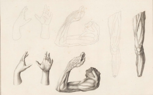 Leg, arm and two hands, Description of a general graphometer, print, album page, book illustration,
