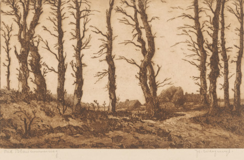 Oud Blaricummerweg (original title on object), print, Forest view with two farms in the distance.,